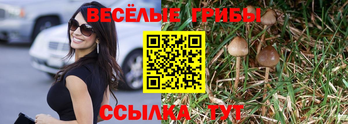 Галлюциногенные грибы Psilocybine cubensis  Вход с VPN  Маркс 